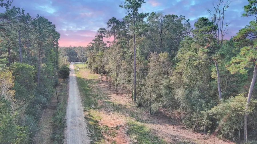 Lot 11 Gregory Lane, New Waverly, TX 77358 - #2