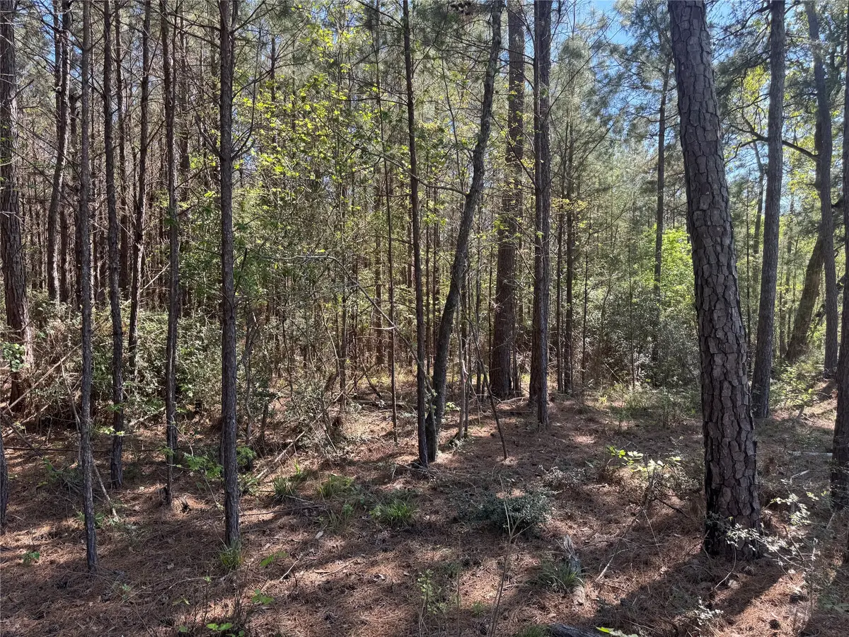 Tract 107 Hwy 156, Coldspring, TX 77331 - #1