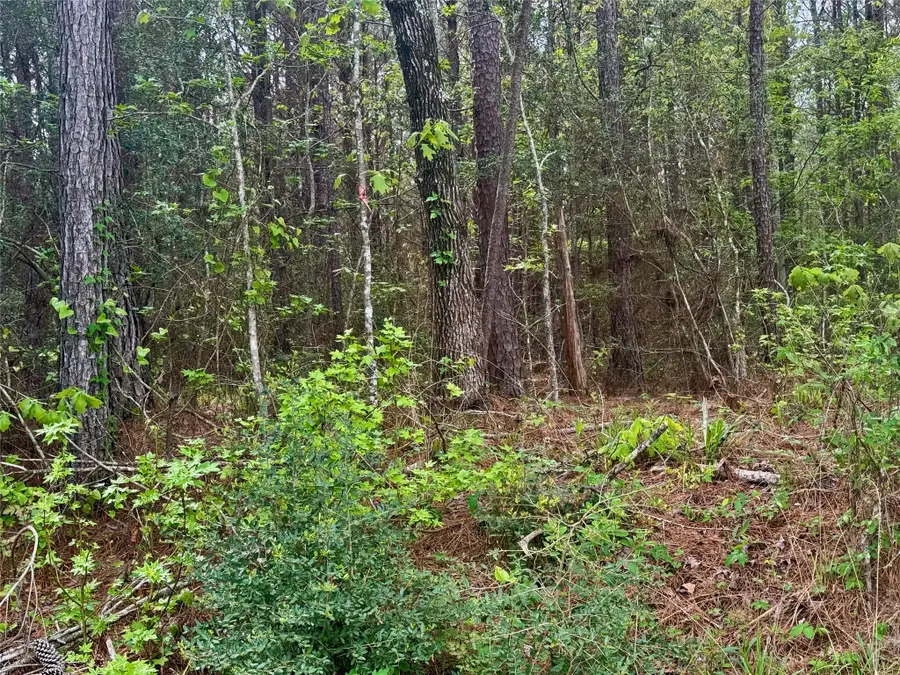 Tract 107 Hwy 156, Coldspring, TX 77331 - #2