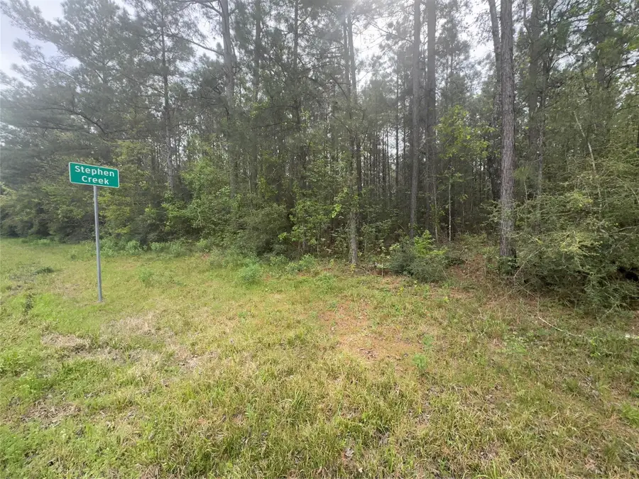 Tract 107 Hwy 156, Coldspring, TX 77331 - #3