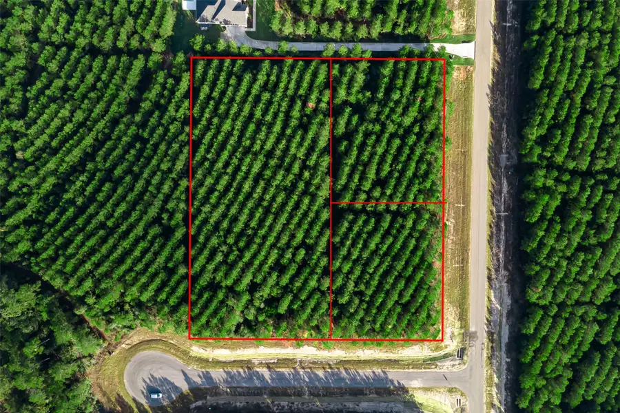 16326 Ridge Oak Road, Willis, TX 77378 - Image #3