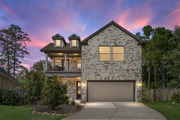 261 N Bearkat Court, Montgomery, TX 77316