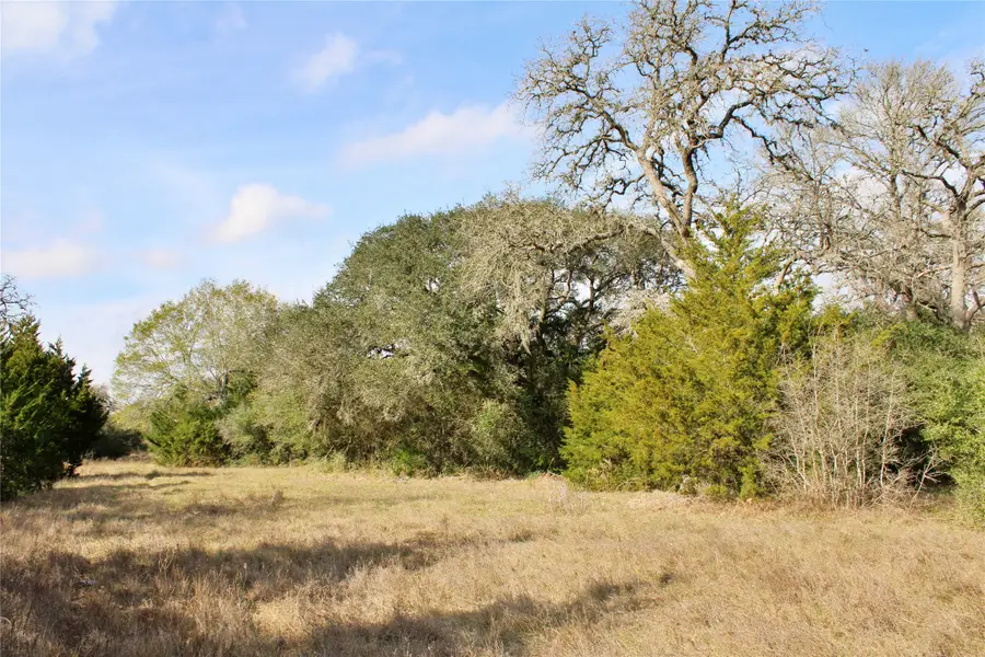 TBD Parcel 11 Lobo Lane, Columbus, TX 78934 - #3