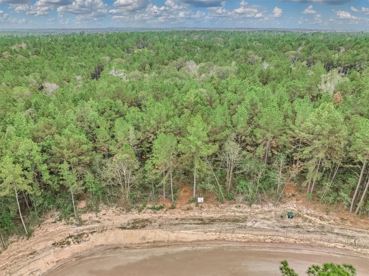 25017 Chisos Bend, Montgomery, TX 77316 - #1