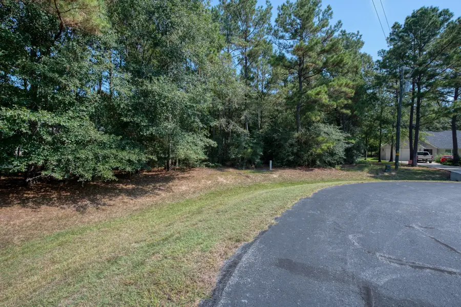 7715 Saddle Blanket Drive, Waller, TX 77484 - Image #3