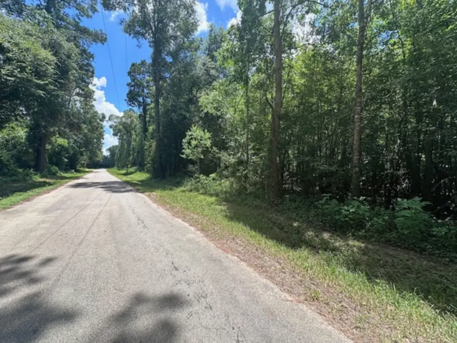 00 Fm-2090, Splendora, TX 77372 - Image #3