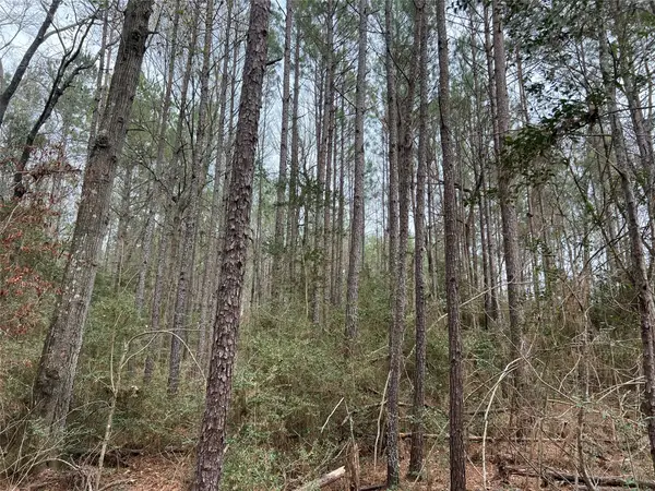 TBD Baxter Road, Livingston, TX 77351