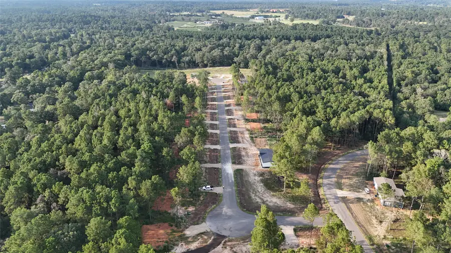 11351 Annie Creek Drive, Willis, TX 77378 - Image #2