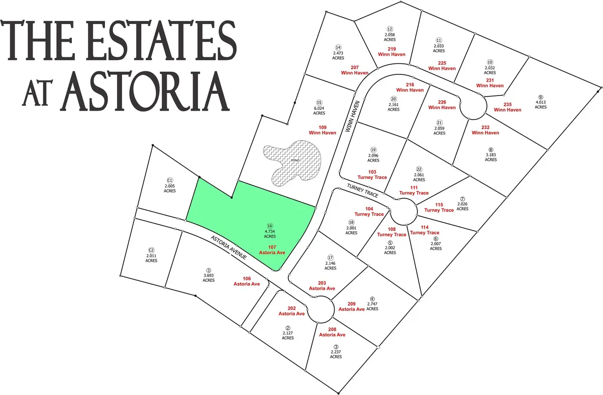 107 Astoria Avenue, Round Top, TX 78954 - #1