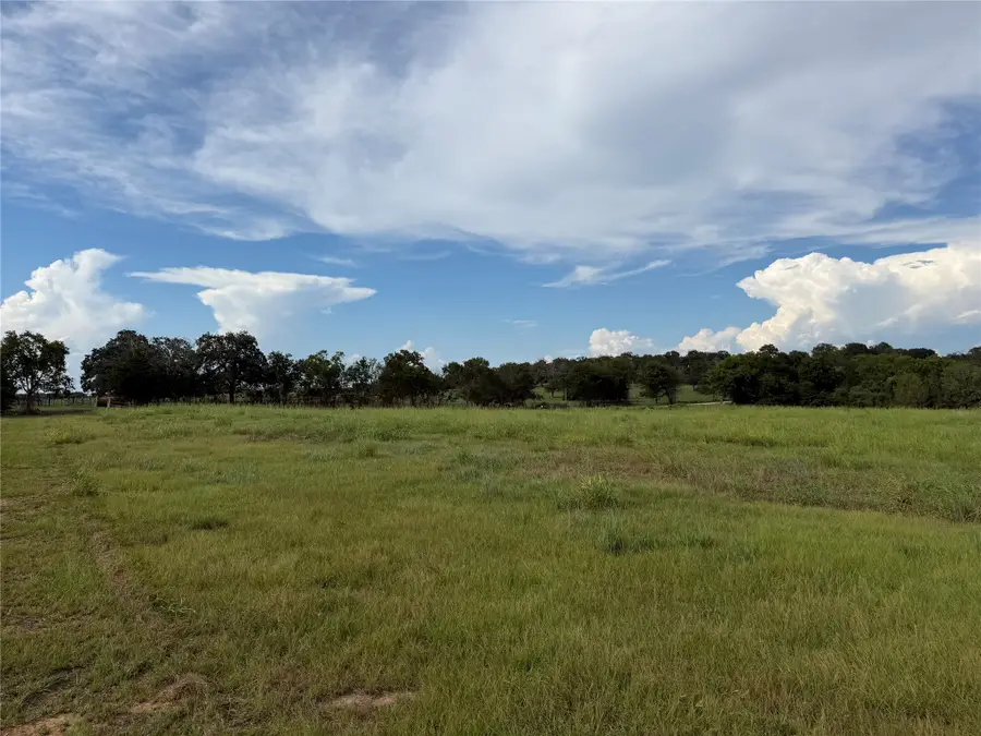 22828 Fm 1094, New Ulm, TX 78950 - #3