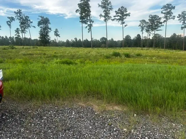 TBD Anna Grace Lot 35, Livingston, TX 77351 - #3
