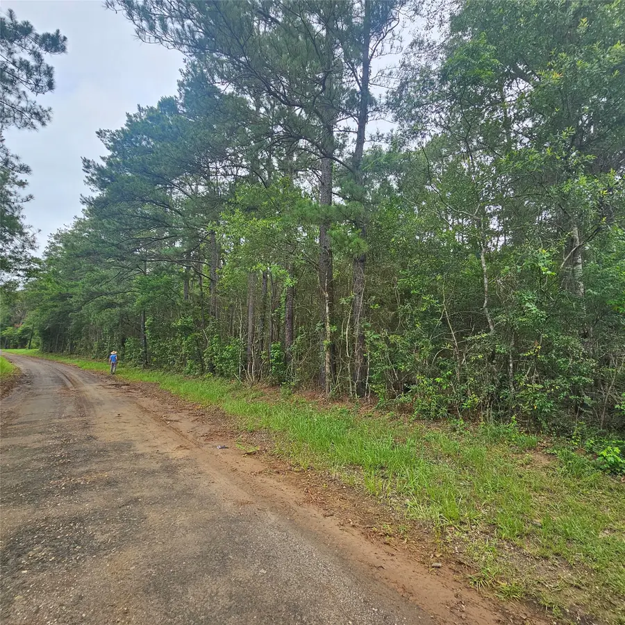 000 County Road 3110, Call, TX 75933 - #2