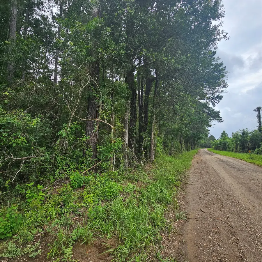 000 County Road 3110, Call, TX 75933 - #3