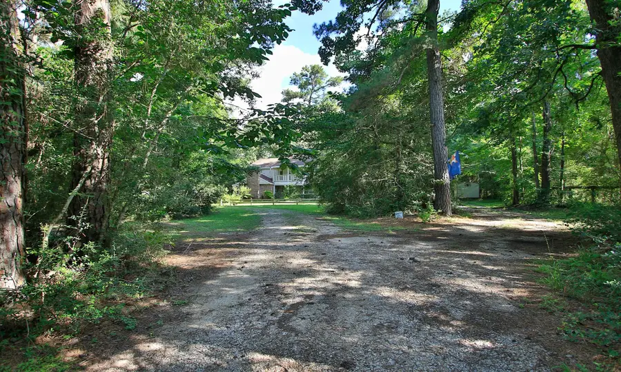 26095 Country Pines Court, Magnolia, TX 77355 - #3