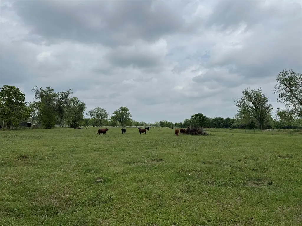 0 E Alabama Street, Wharton, TX 77488 - #1