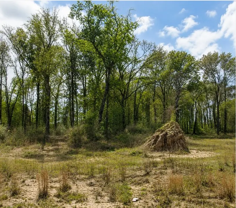 6082 Road 5872, Cleveland, TX 77327 - #1
