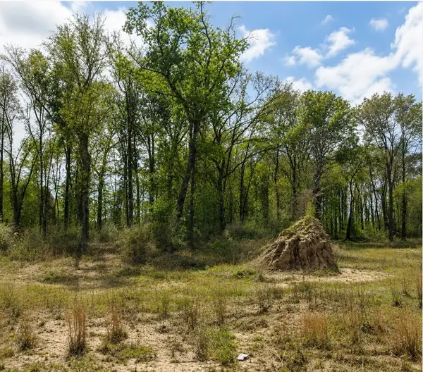 6082 Road 5872, Cleveland, TX 77327