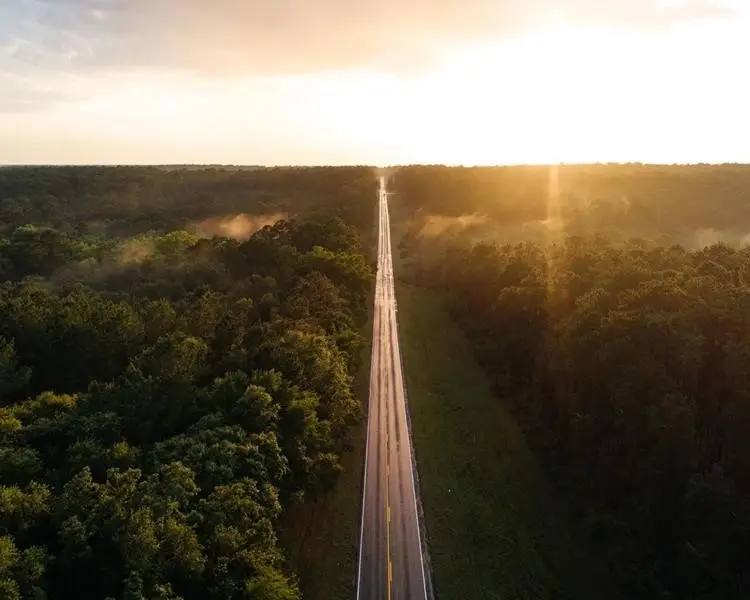 TBD-06-56 Stagecoach Circle, Huntsville, TX 77340 - Image #3