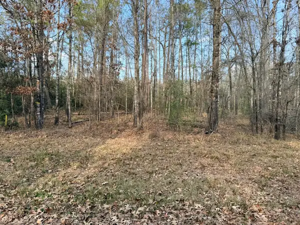 TBD Indian Oaks, Livingston, TX 77351