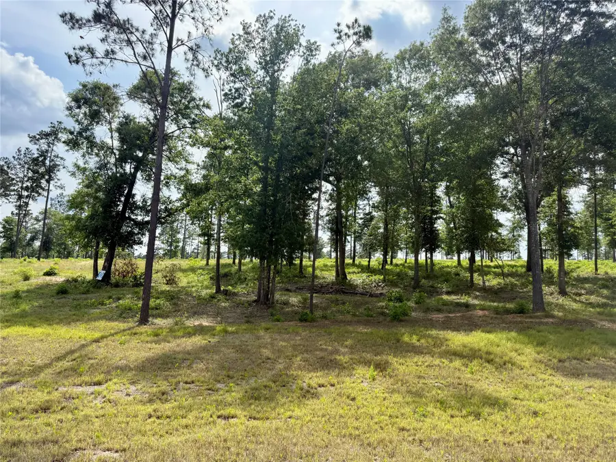 Lot 72 Western Road, Livingston, TX 77351 - #2