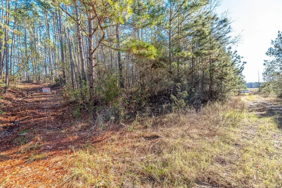 898 Taylor Lake Road, Livingston, TX 77351 - #3