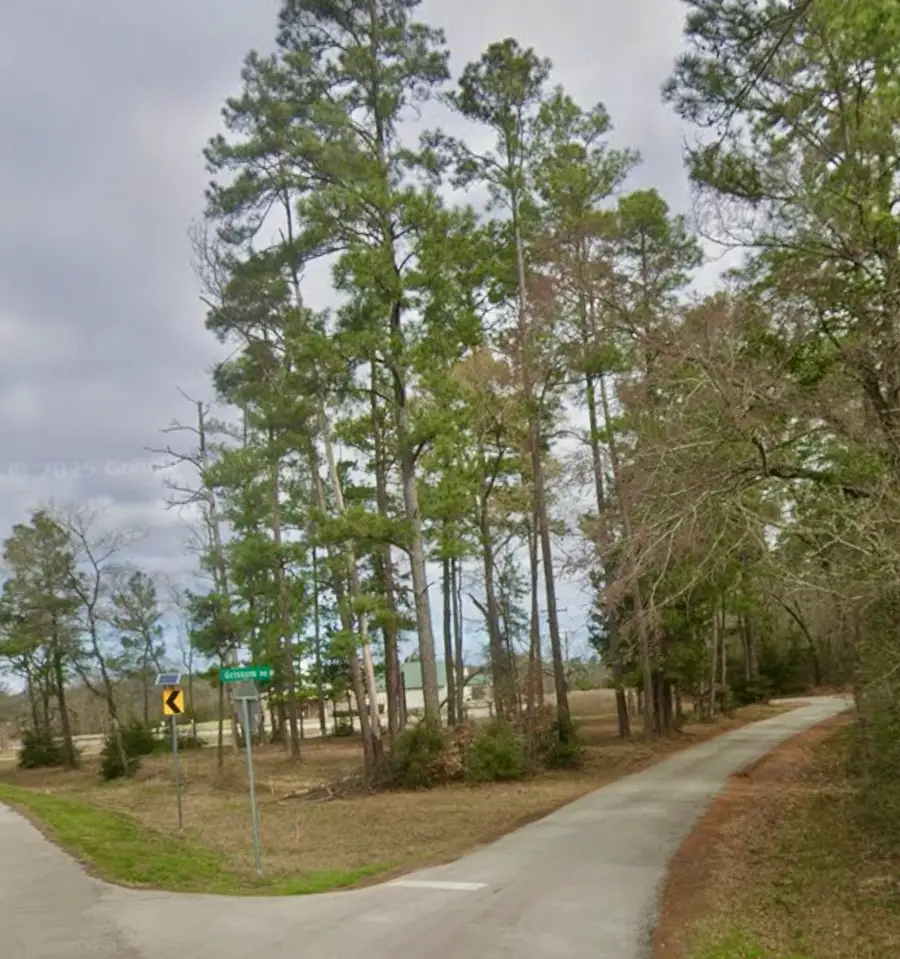 0 Grissom Road, Richards, TX 77873 - Image #2