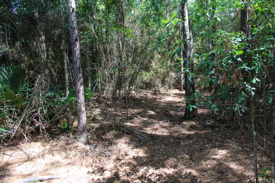 3B-15-22 Fire Sky Road, Huntsville, TX 77340 - #3