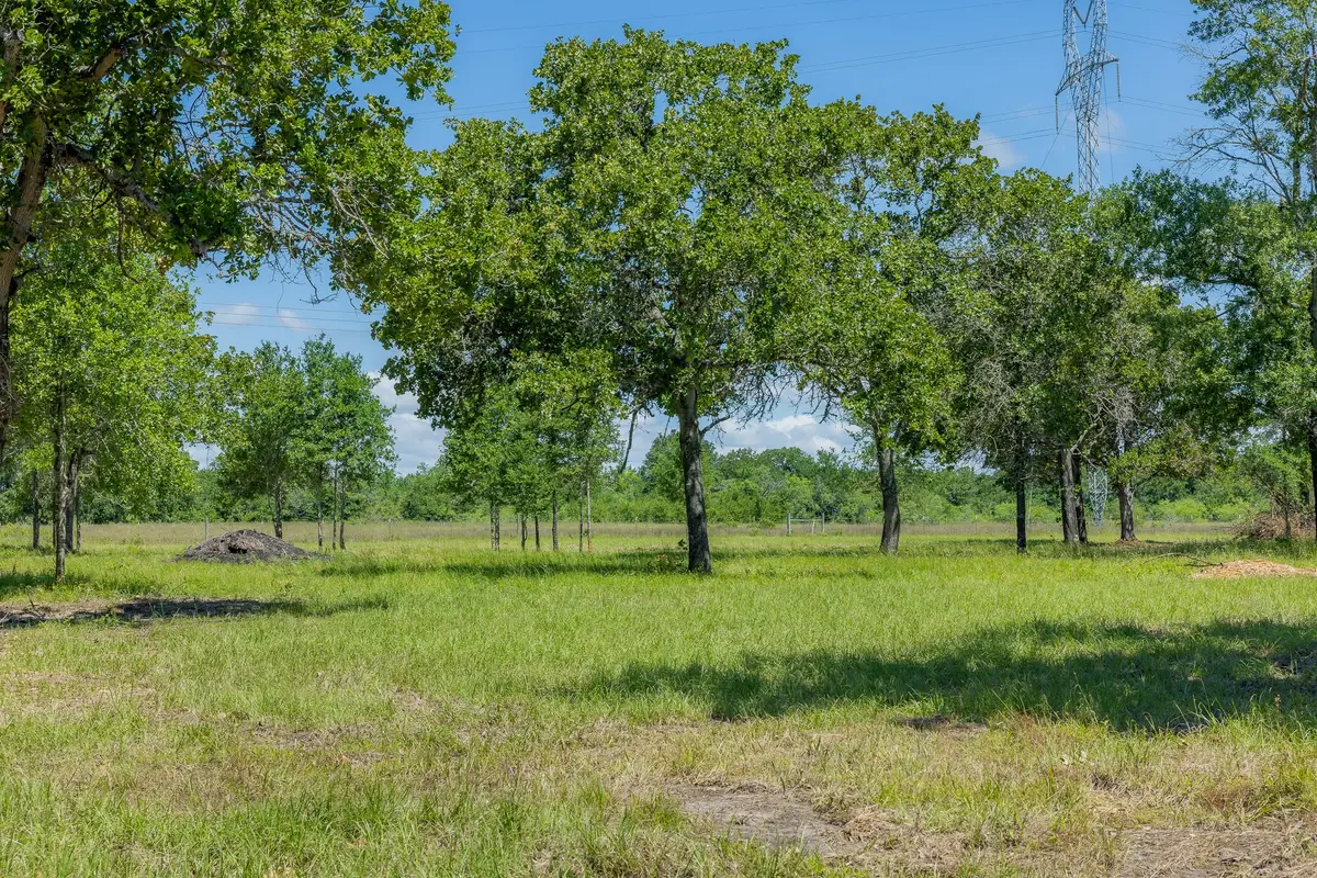 6593 Atakapan Trail, Bedias, TX 77831 - #1