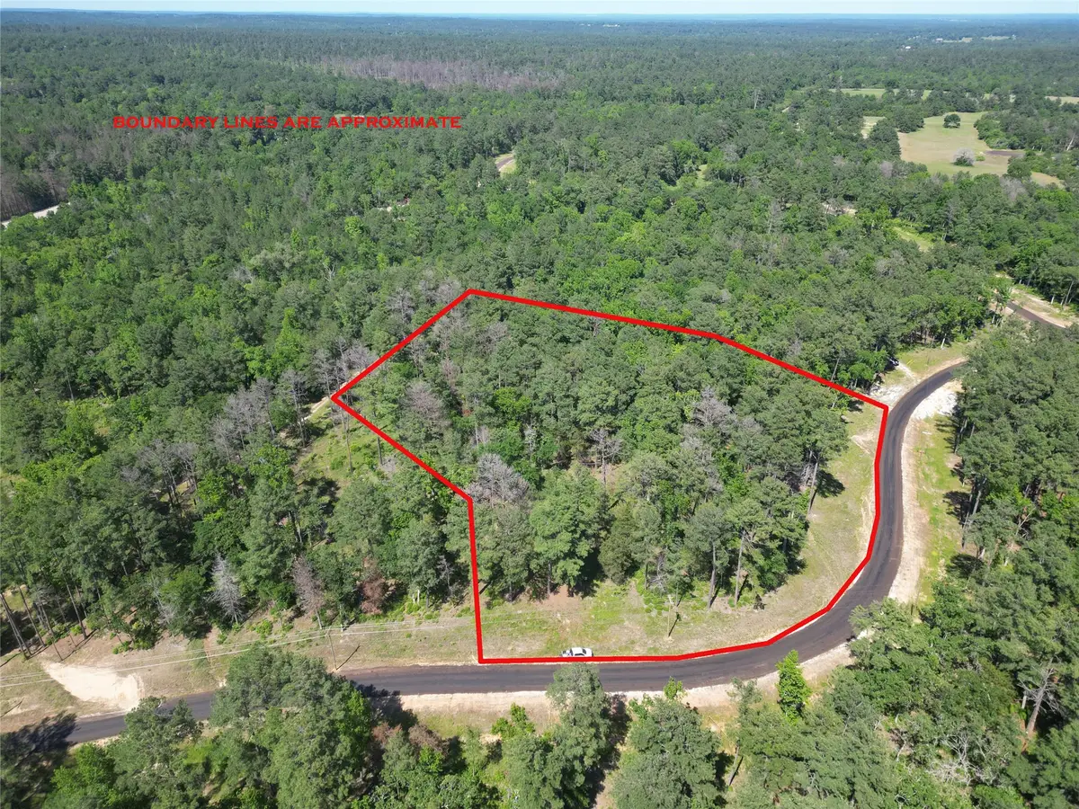 Lot 22 Pr 1313, Centerville, TX 75833 - #1