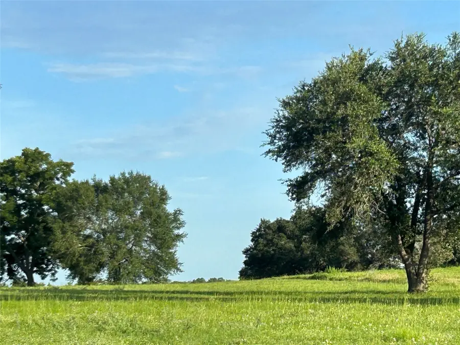 TBD Sunshine Court, Chappell Hill, TX 77426 - #2