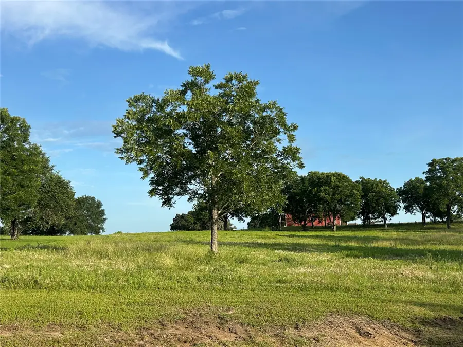 TBD Sunshine Court, Chappell Hill, TX 77426 - #3