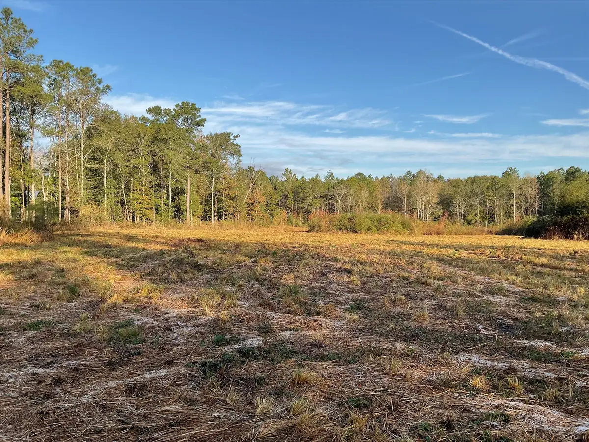 319 County Road 4050, Woodville, TX 75979 - Image #1