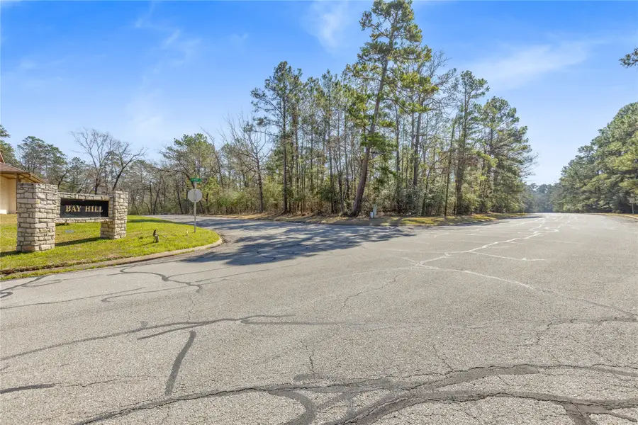 Lot 1 Bay Hill Road, Huntsville, TX 77320 - #2