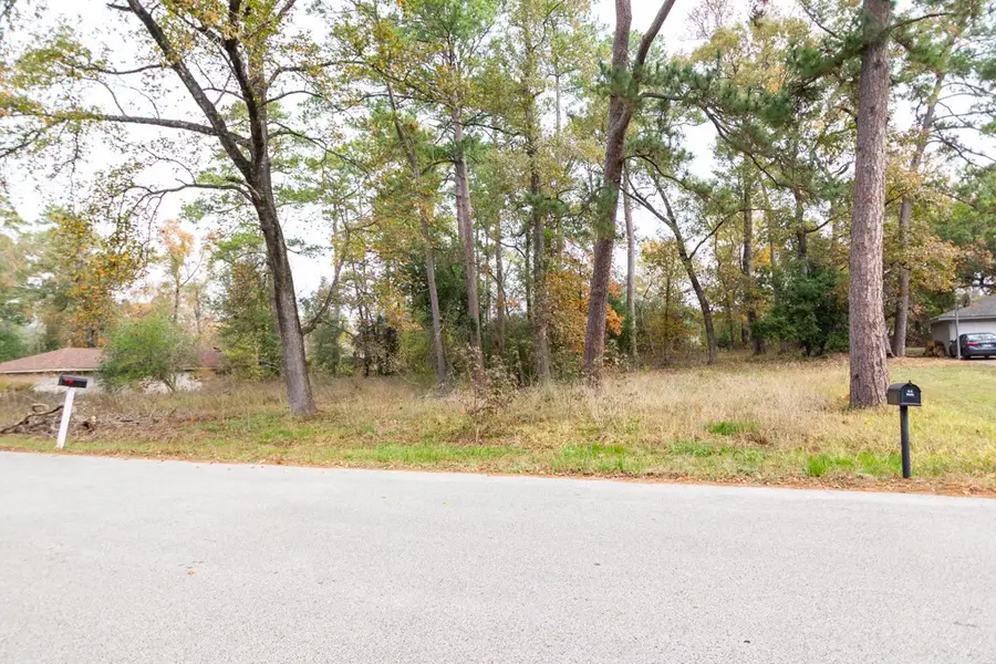 24510 Pine Canyon Dr, Spring, TX 77380 - Image #3