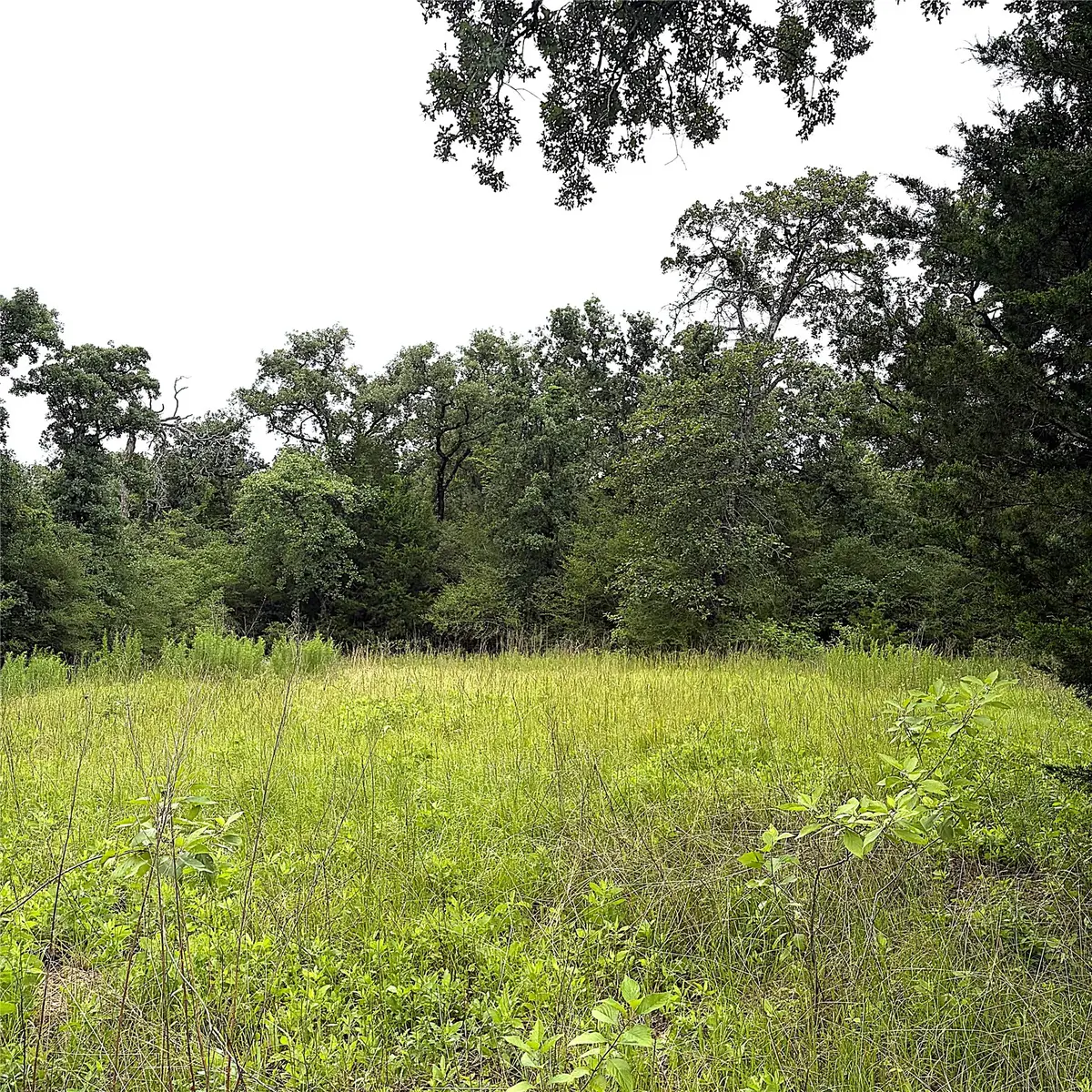TBD Pr 4045, Centerville, TX 75833 - #1