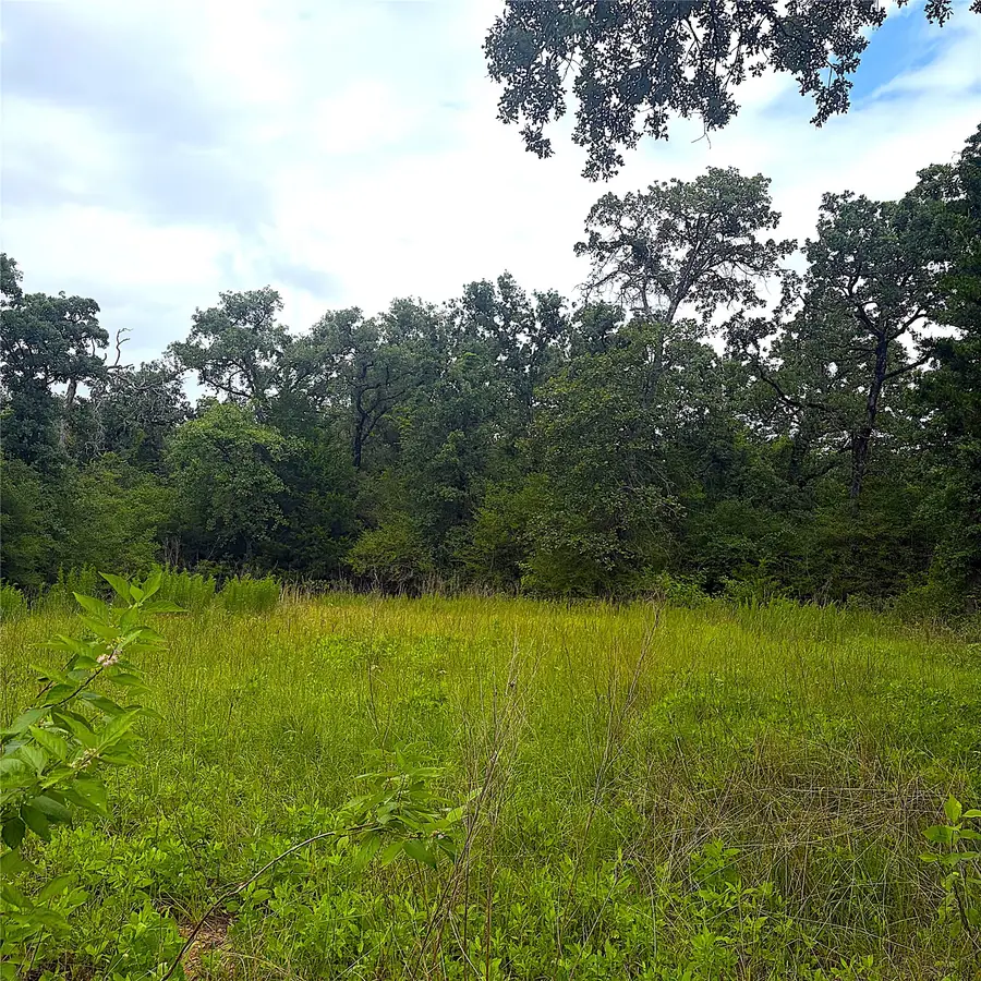 TBD Pr 4045, Centerville, TX 75833 - #3