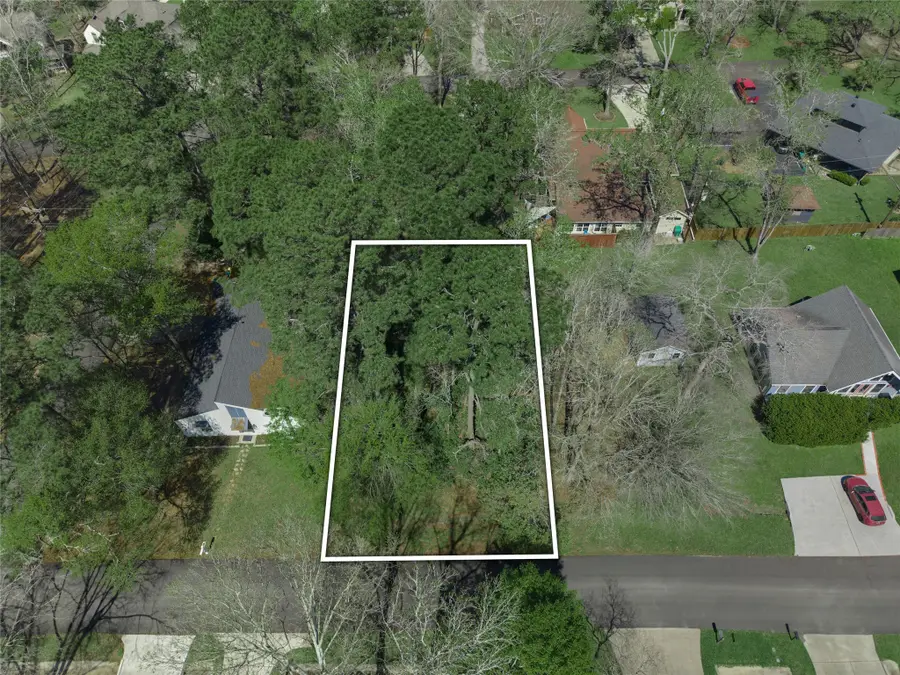 168 Mid Pines Drive, Conroe, TX 77304 - #3