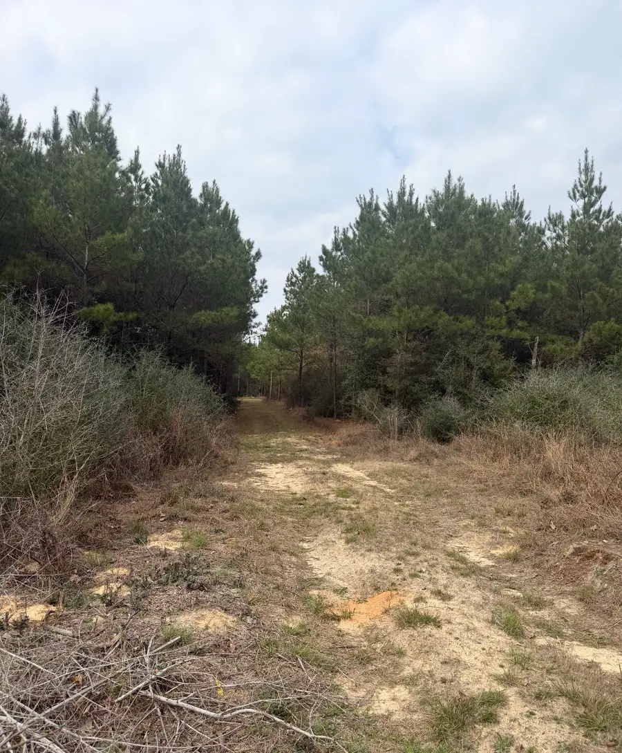 10489 Us Highway 190 E, Livingston, TX 77351 - #2