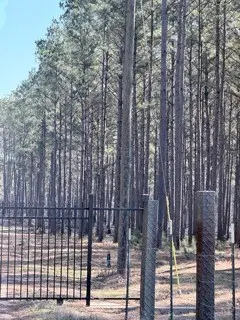 2878 Fm 256 N, Woodville, TX 75979 - #3