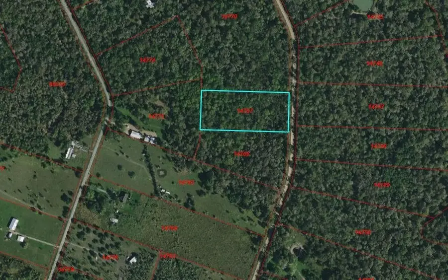 0 Baldwin Drive, Hungerford, TX 77448 - #3