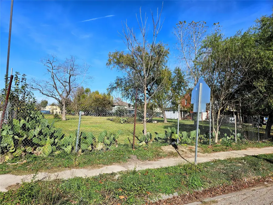 0 Dahlia Avenue, Houston, TX 77012 - #2