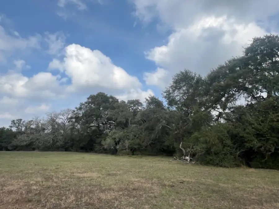 TBD 20 Acres Cat Spring Road, Cat Spring, TX 78933 - Image #3
