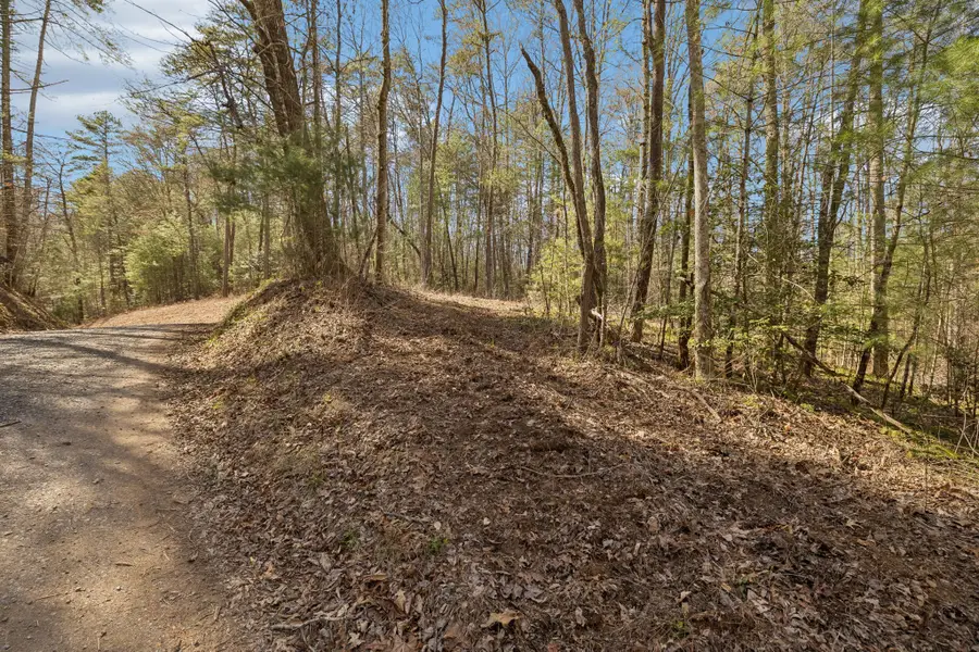 1489 Towee Pike, Reliance, TN 37369 - #2