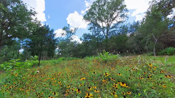 1014 Beaver Lake Drive, Caldwell, TX 77836