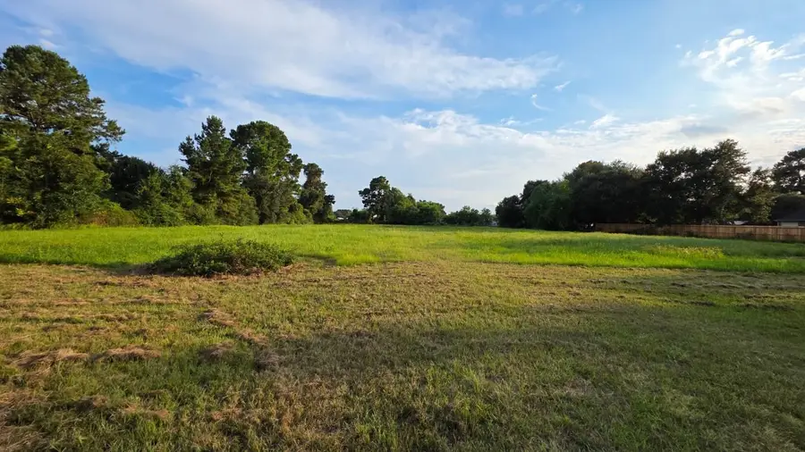 0 La Fouche Drive, Tomball, TX 77377 - Image #3