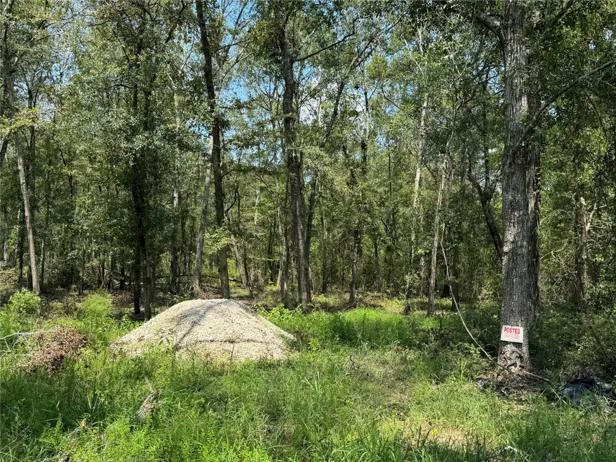 19959 Old Highway 105, Cleveland, TX 77328 - Image #2