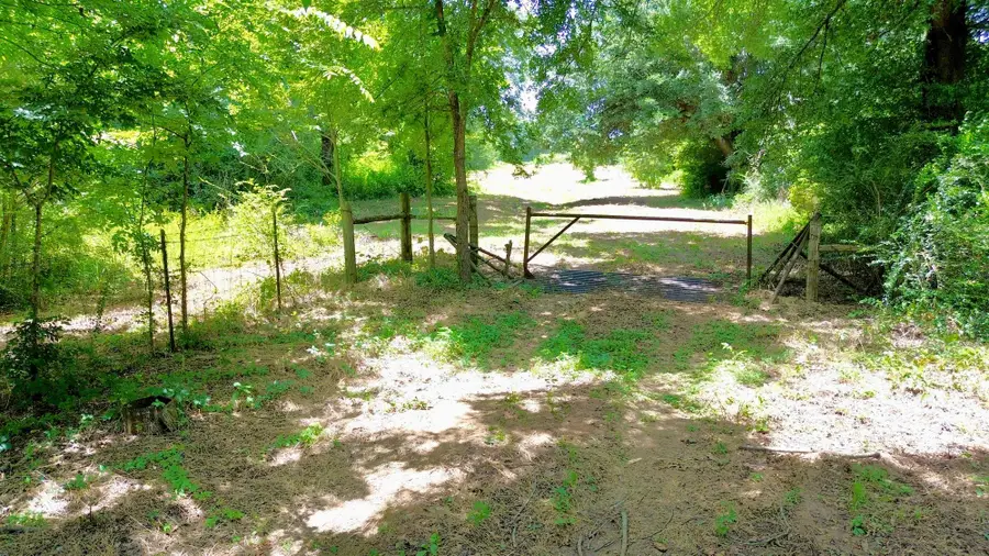 7365 Fm 2022 N, Grapeland, TX 75844 - #3