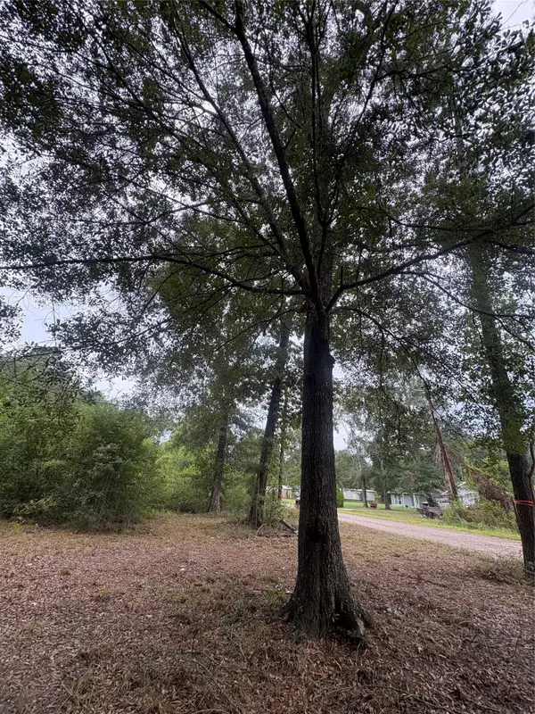 27418 Coral Road, Splendora, TX 77372