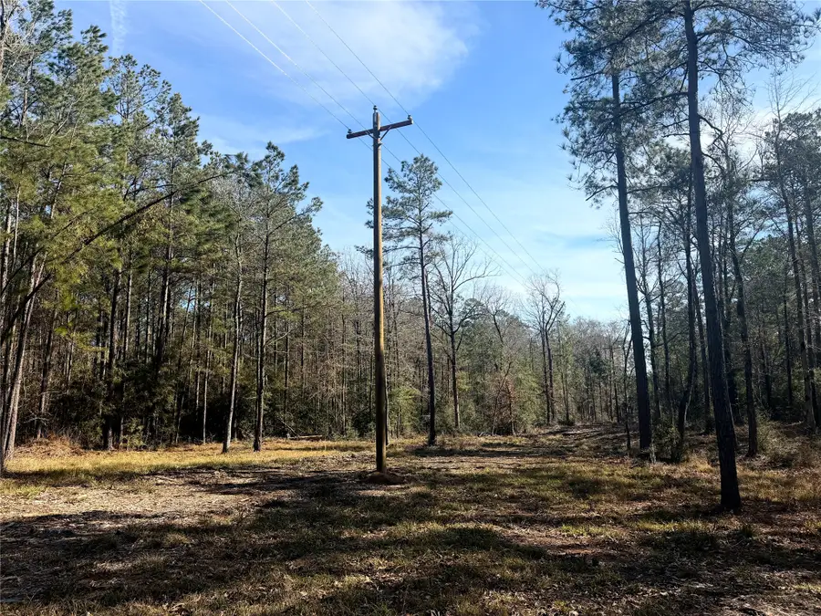 00 Fm 83, Bronson, TX 75930 - #2