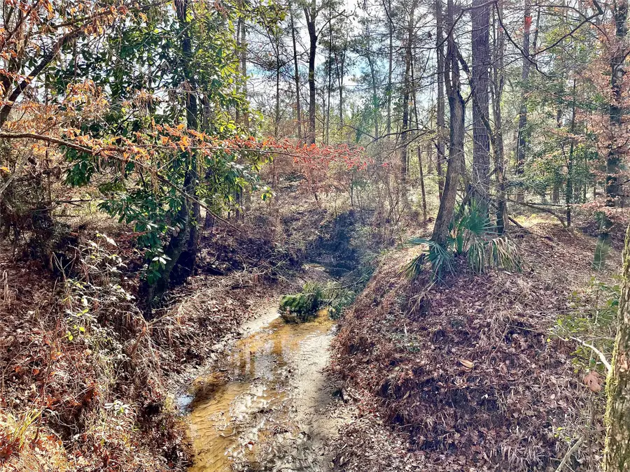 00 Fm 83, Bronson, TX 75930 - #3